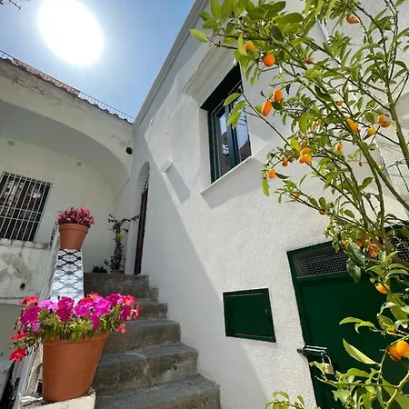 Apartment - Antica Residenza Amalfitana Amalfi